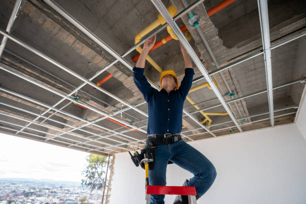 Best Plumbing Inspection Services  in Durand, WI