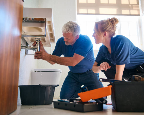 Best Sprinkler Systems  in Durand, WI